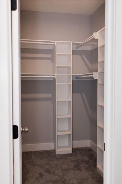 Primary Bedroom Walk In Closet