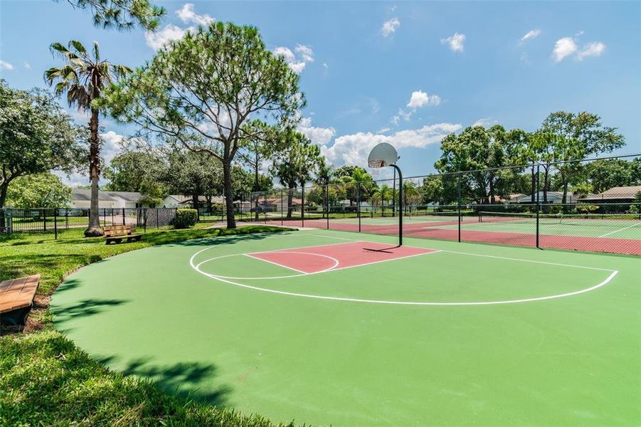 Community amenities in , Oldsmar (Image 50). Community amenities in , Oldsmar (Image 50).