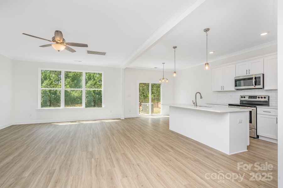 Representational Photo Only