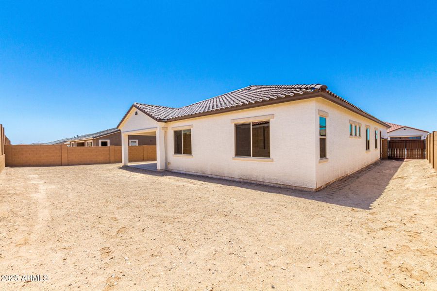 42-Hollyhock 42-Hollyhock