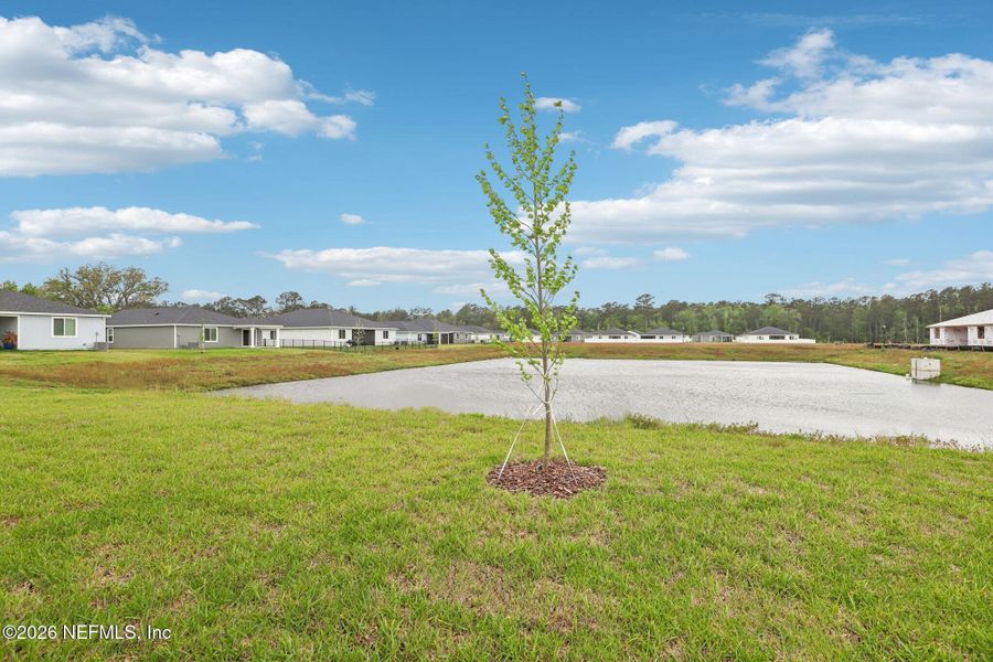 Natural landscape and outdoor views near Azalea Creek in Jacksonville (Image 31). Natural landscape and outdoor views near Azalea Creek in Jacksonville (Image 31).