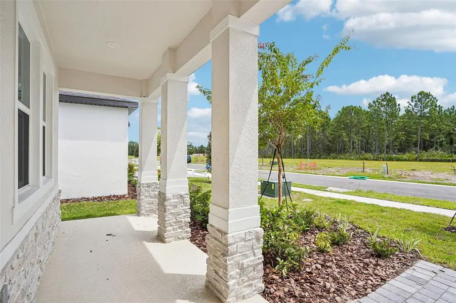Exterior details and patio area of a home in Ridgehaven - Signature Series, Ormond Beach (Image 4).