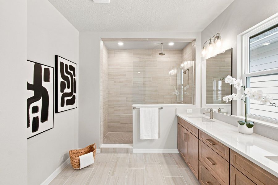 Owner's Bath