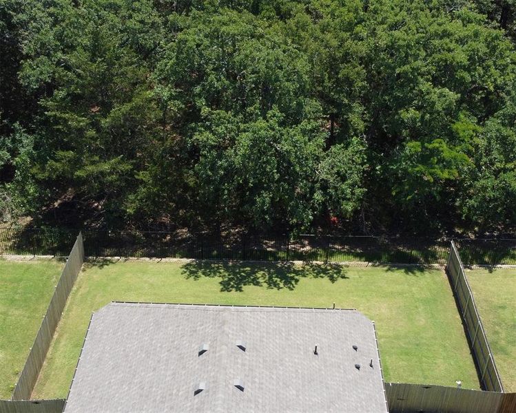 Natural landscape and outdoor views near  in Greenville (Image 34).