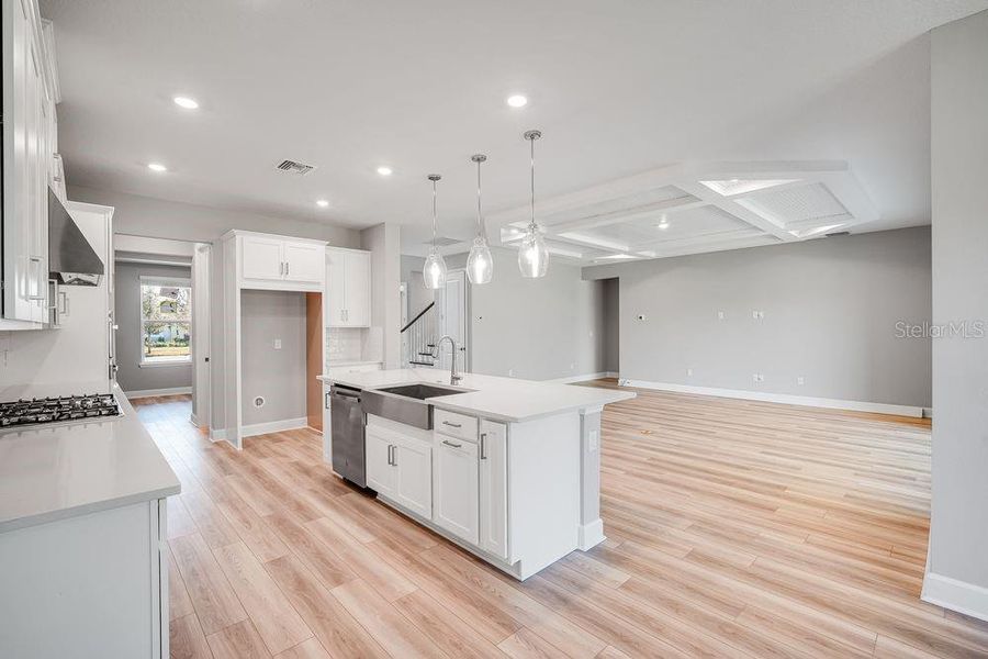 Furnished interior view inside a new home in Hammock at Two Rivers, Zephyrhills (Image 4).