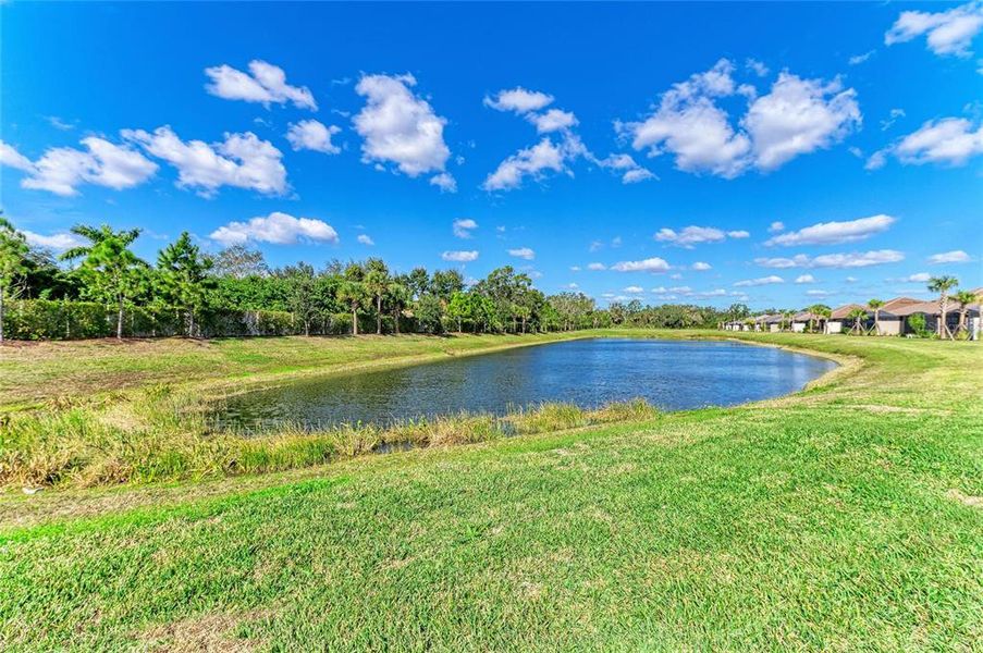 Natural landscape and outdoor views near  in Bradenton (Image 56).