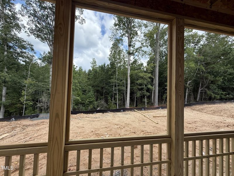 Lot 5 Backyard Lot 5 Backyard