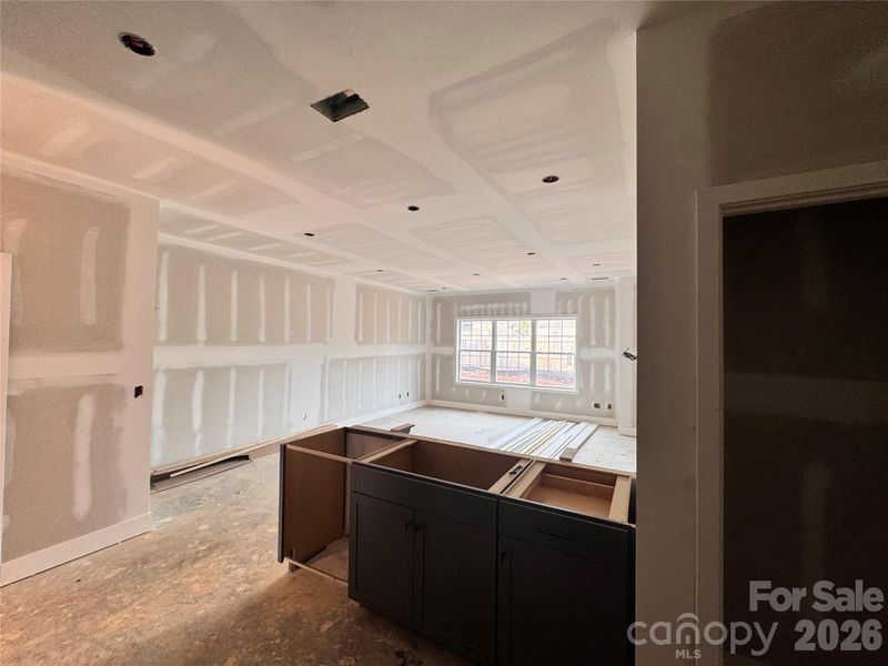 In-progress construction of a new home in Pine Trace, Gastonia, NC (Image 9). In-progress construction of a new home in Pine Trace, Gastonia, NC (Image 9).