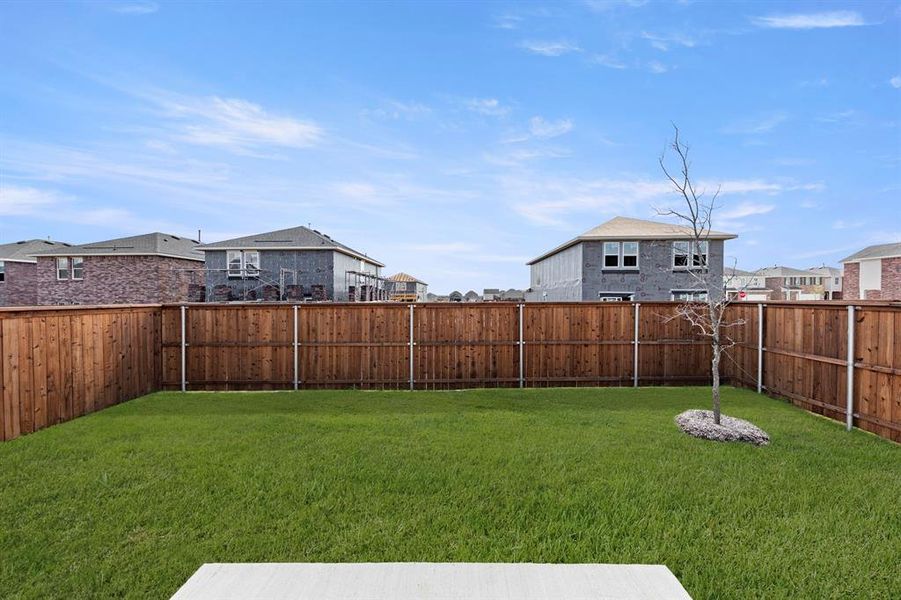 25. 14204 Coness - Patio