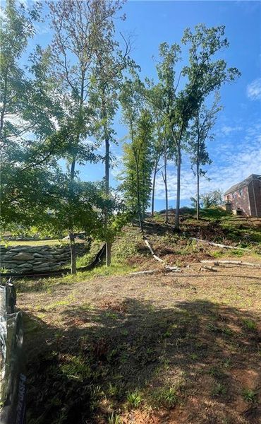 Natural landscape and outdoor views near  in Atlanta (Image 5).