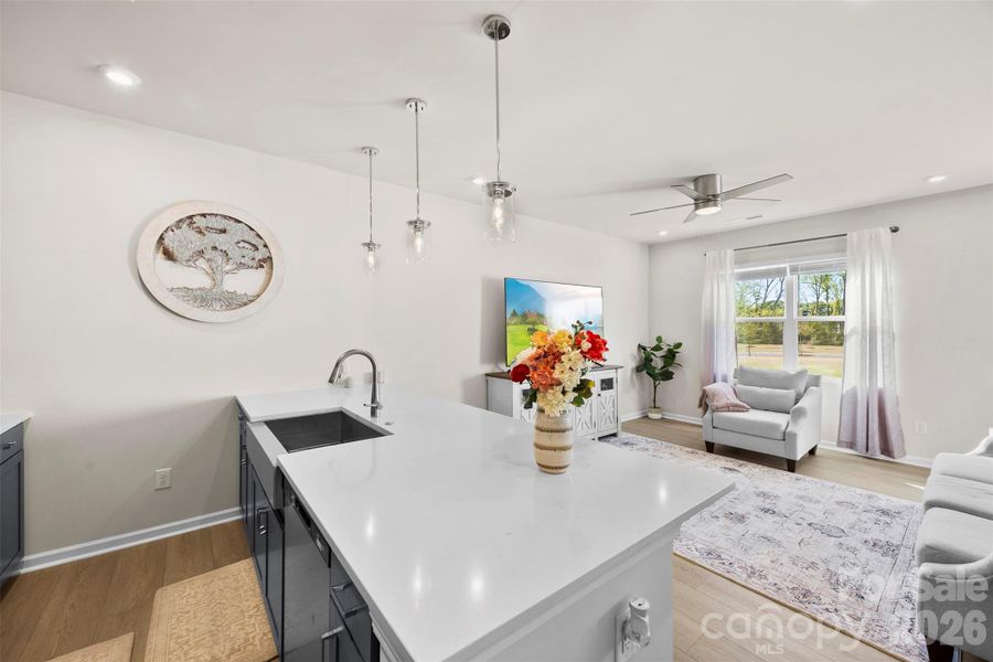 kitchen counter view