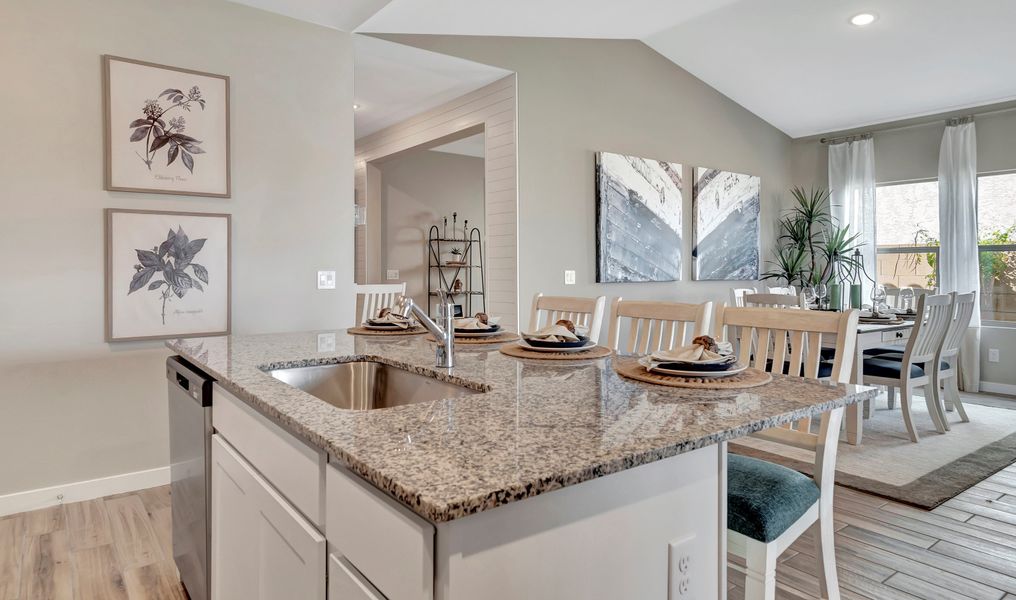 Image 9 of the The Lakes at Rancho El Dorado community in Maricopa, AZ.