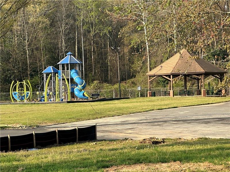 Community amenities in Wildwood Place, Powder Springs (Image 16).
