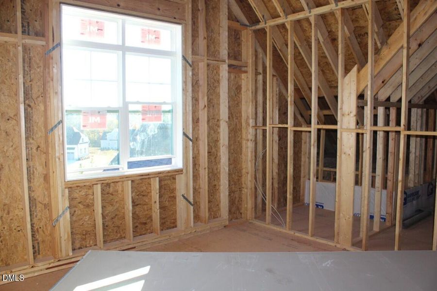 IMG_6970 (Medium) IMG_6970 (Medium)