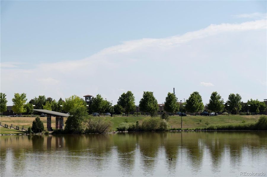 Natural landscape and outdoor views near  in Aurora (Image 41).