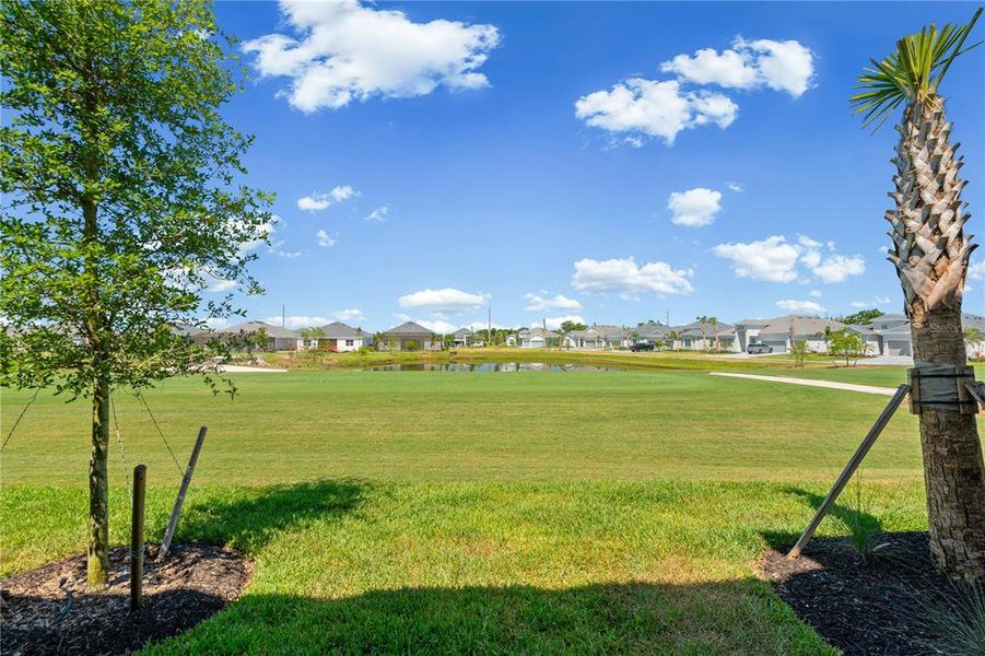 Natural landscape and outdoor views near Calusa Country Club in Lakewood Ranch (Image 52).