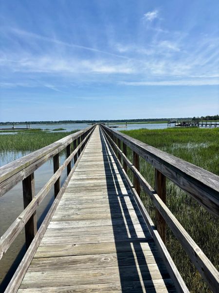 Natural landscape and outdoor views near Charleston Proper in Johns Island (Image 12).