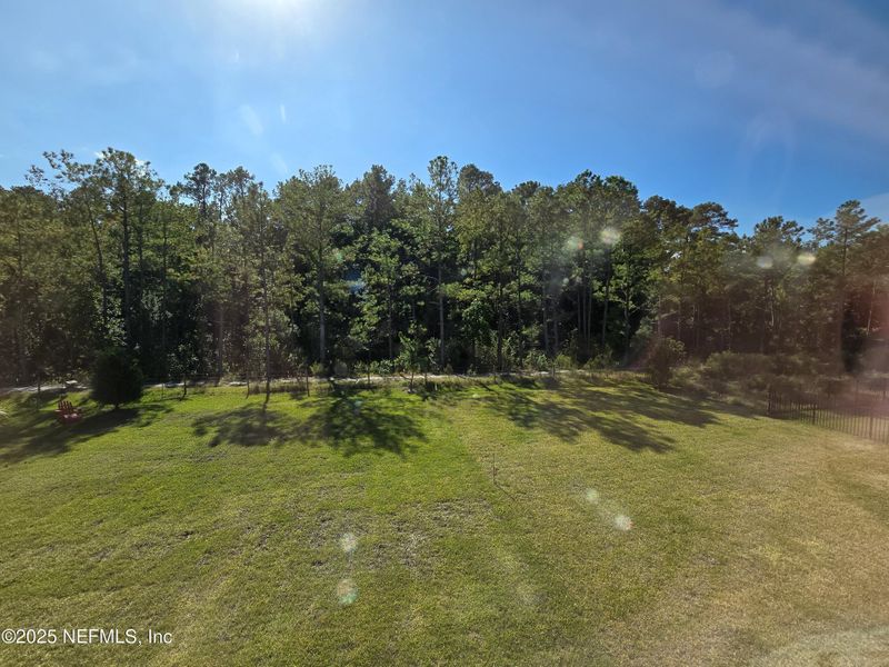 Natural landscape and outdoor views near Hyland Trail in Green Cove Springs (Image 67).