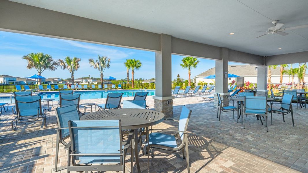 Community amenities in Indigo Creek, Apollo Beach (Image 26).