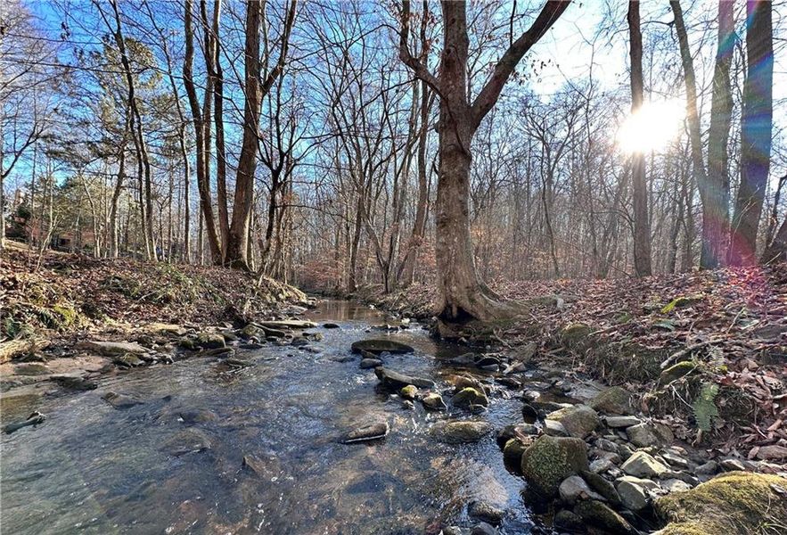Natural landscape and outdoor views near  in Cumming (Image 10).