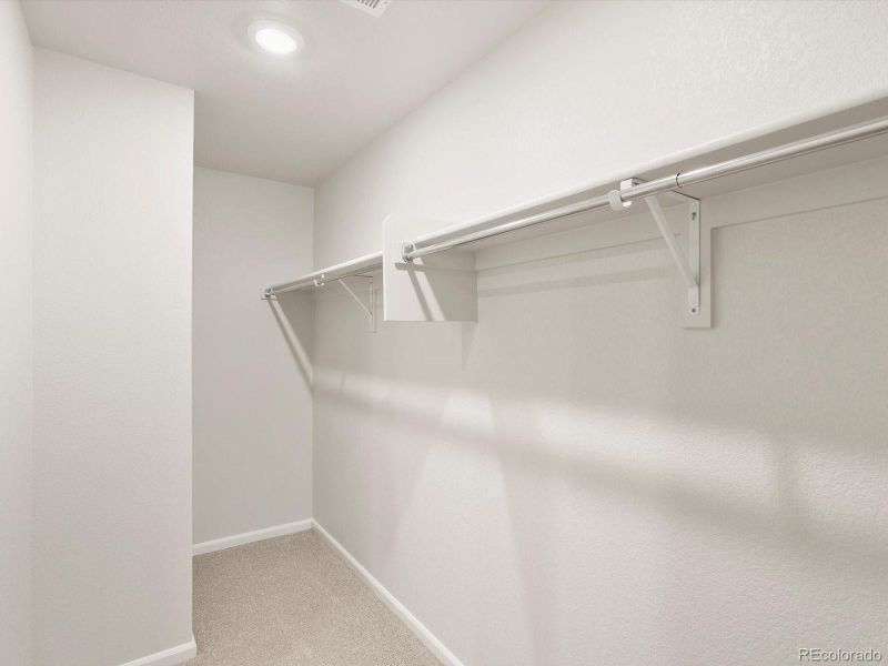 Spacious, unfurnished interior of a new home in Lake Bluff, Greeley (Image 20).