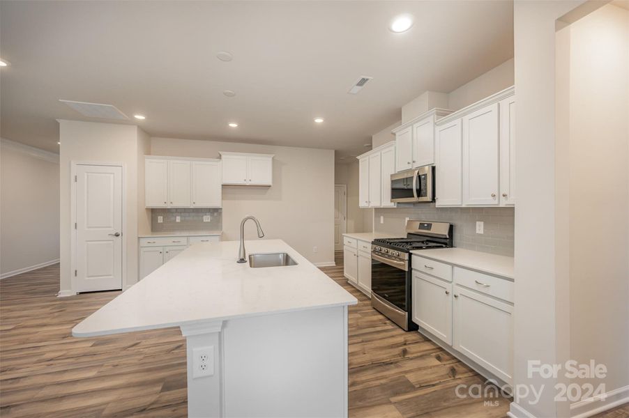 Beautiful white kitchen, LVP flooring, pantry, great design.