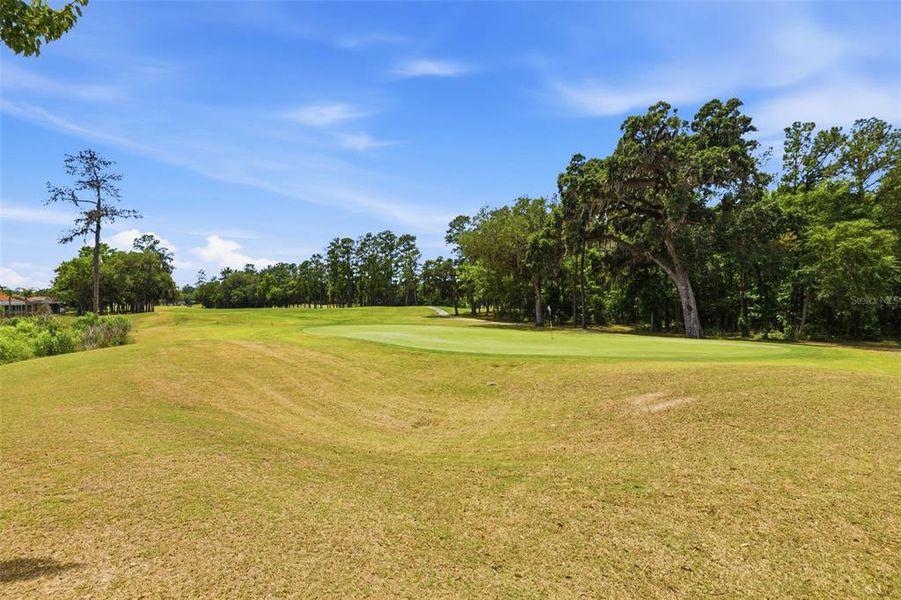 Natural landscape and outdoor views near  in Brooksville (Image 34).