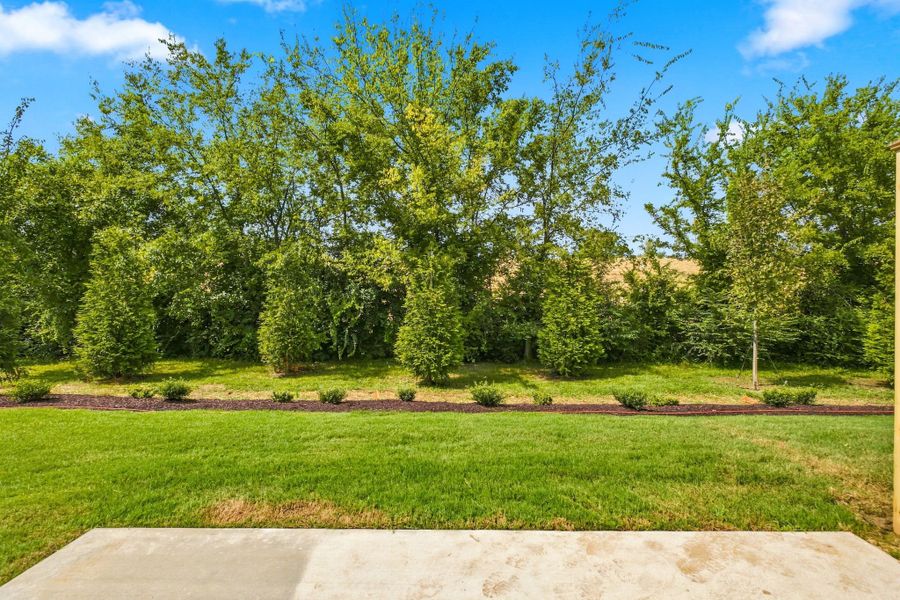 Tree Lined Backyard Views at Oxford Station
