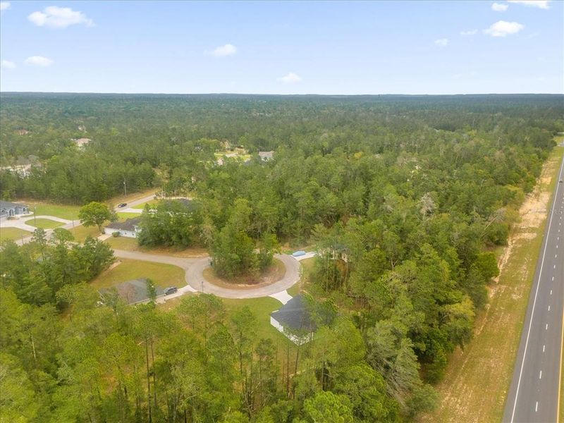 Natural landscape and outdoor views near  in Homosassa (Image 30).