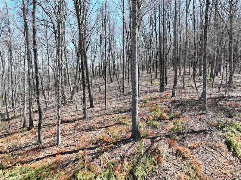 Image 19 of a home in . Image 19 of a home in .