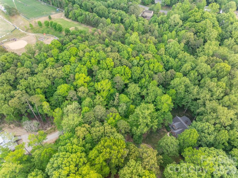 Natural landscape and outdoor views near  in Matthews (Image 37).