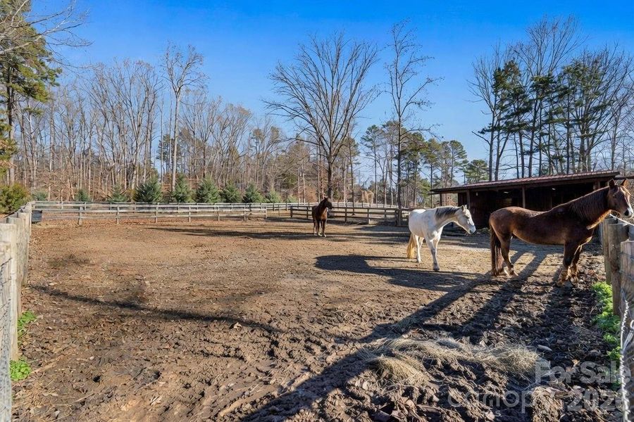 Site preparation for new homesites in , Davidson (Image 23).
