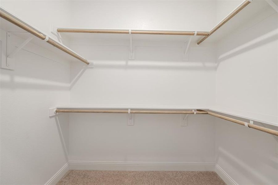 Spacious closet featuring carpet floors