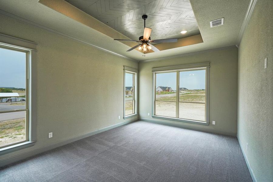 Carpeted empty room with ceiling fan, a raised ceiling, ornamental molding, and plenty of natural light