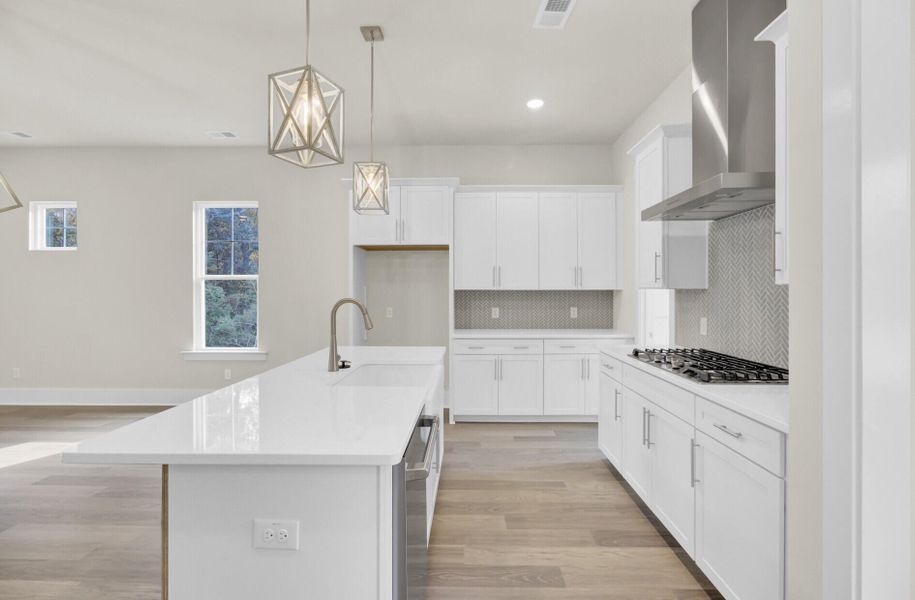 Furnished interior view inside a new home in Indigo Grove Single Family Homes, Johns Island (Image 6).
