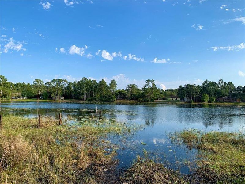 Natural landscape and outdoor views near  in Eustis (Image 32).
