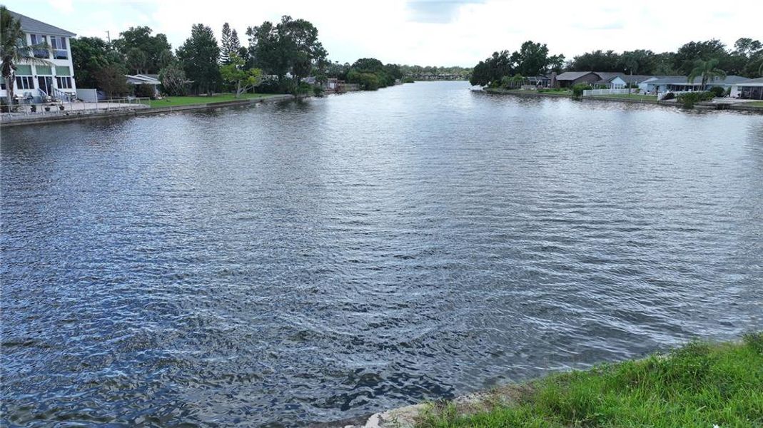 Natural landscape and outdoor views near  in Safety Harbor (Image 16).