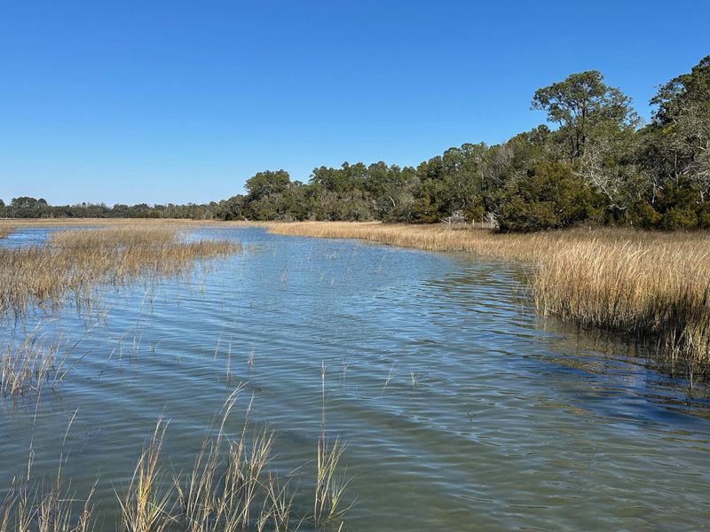 Natural landscape and outdoor views near  in Wadmalaw Island (Image 9).