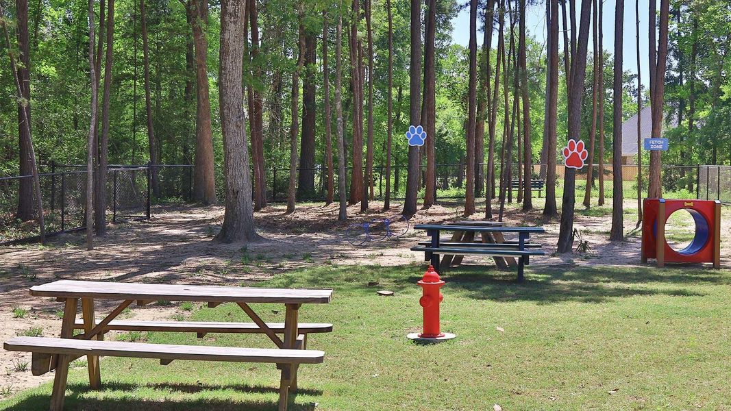 Community amenities in Grand Central Park, Conroe (Image 10). Community amenities in Grand Central Park, Conroe (Image 10).