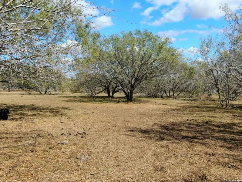 Natural landscape and outdoor views near  in Stockdale (Image 9).