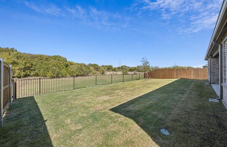 Large fenced in backyard Large fenced in backyard