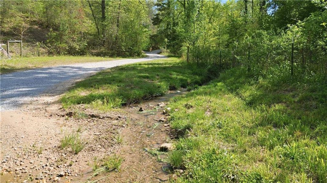 Natural landscape and outdoor views near  in Demorest (Image 54).