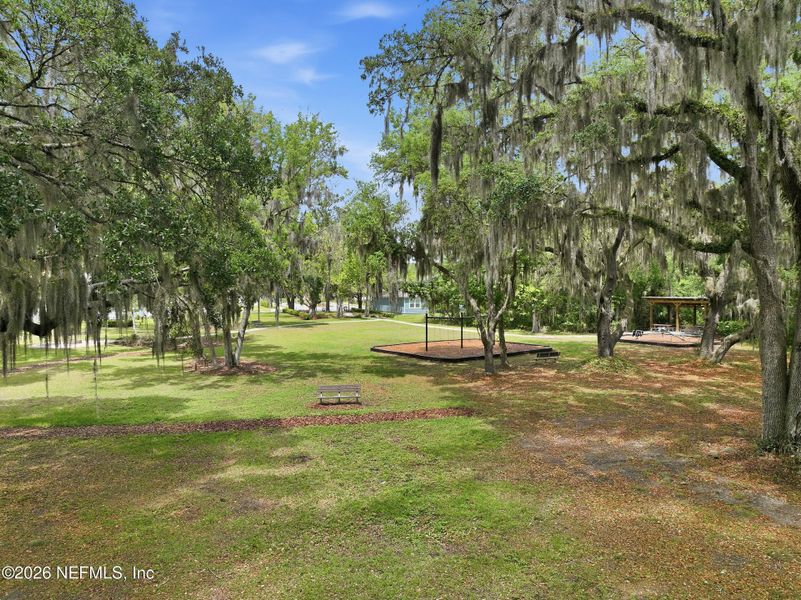 Natural landscape and outdoor views near  in Jacksonville (Image 54).