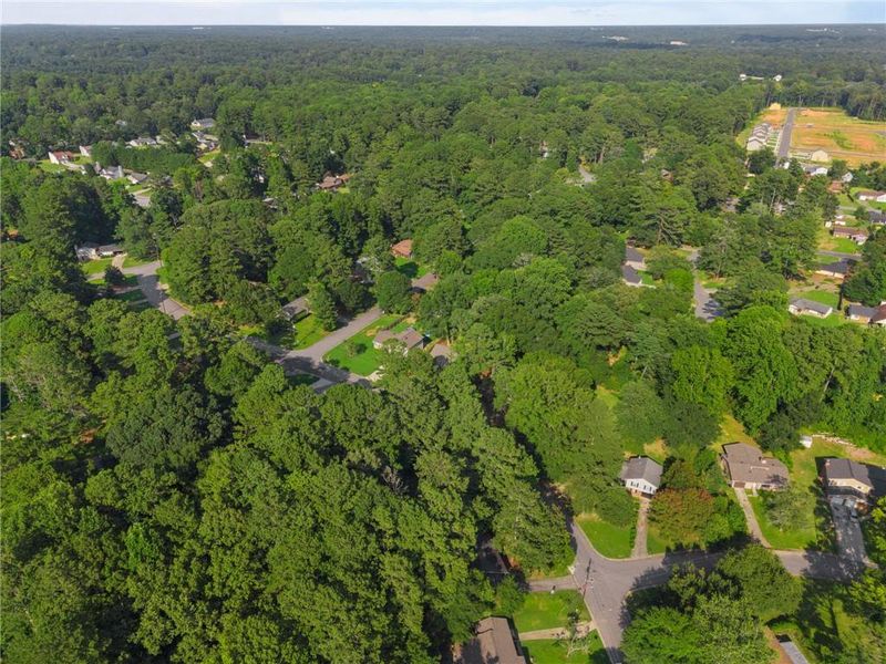 Natural landscape and outdoor views near  in Jonesboro (Image 41).