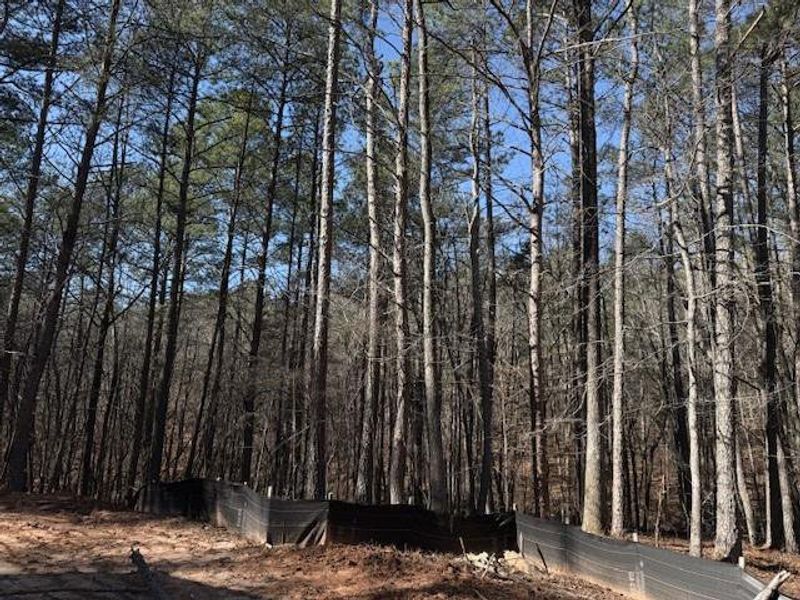 Natural landscape and outdoor views near  in Dallas (Image 5).