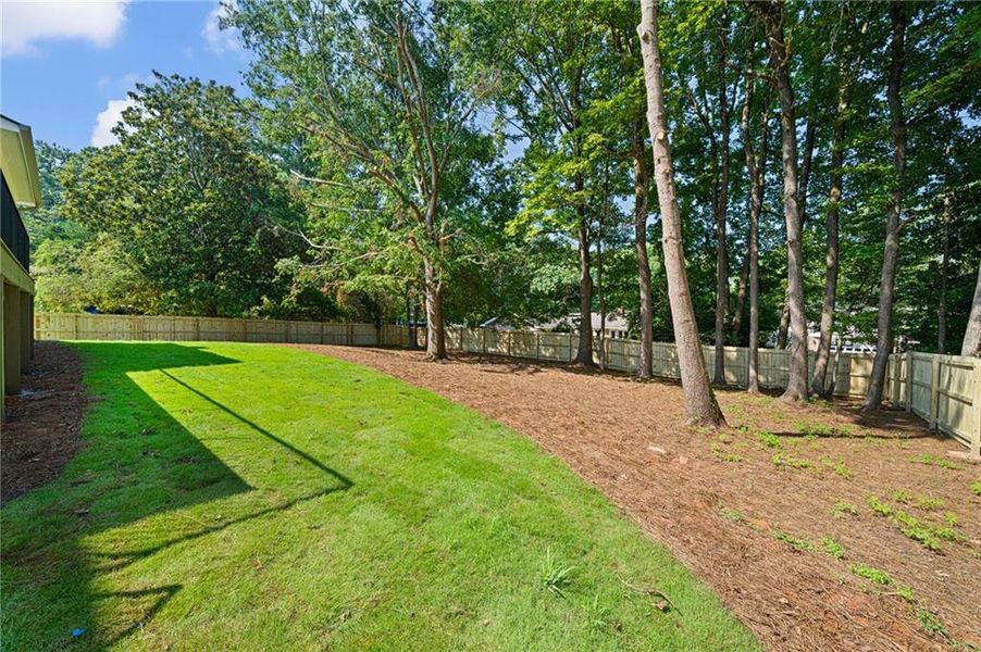Natural landscape and outdoor views near  in Atlanta (Image 41).