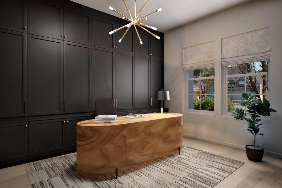 The Dandelion - Study