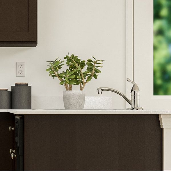 Red Oak Kitchen with faucet closeup