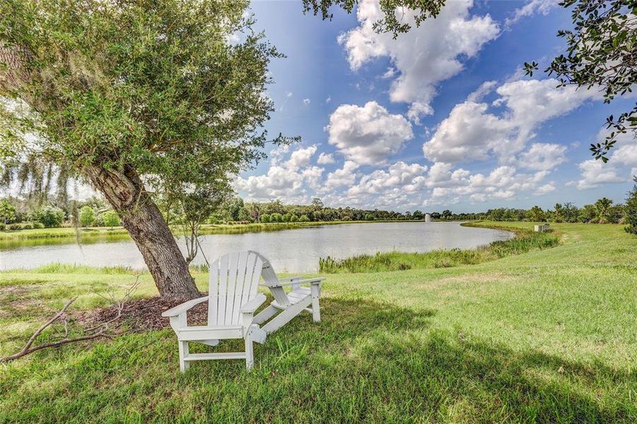 Natural landscape and outdoor views near in Sarasota (Image 75). Natural landscape and outdoor views near in Sarasota (Image 75).