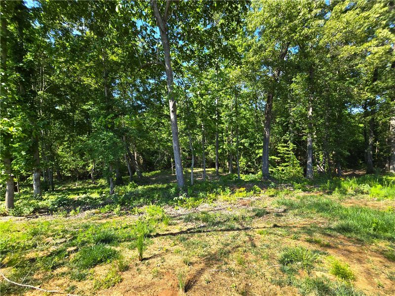 This tranquil wooded property offers a serene natu